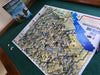 San Marino battle game map